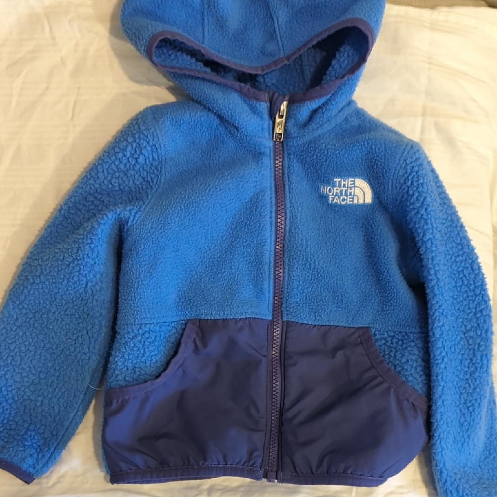 The North Face Blue and Purple Fleece Hoodie